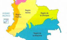 Mapa de Colombia con sus regiones